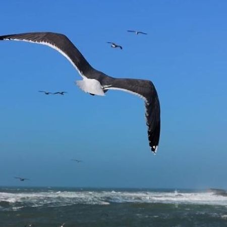 Villa L'Oiseau Bleu Εσαουίρα Εξωτερικό φωτογραφία