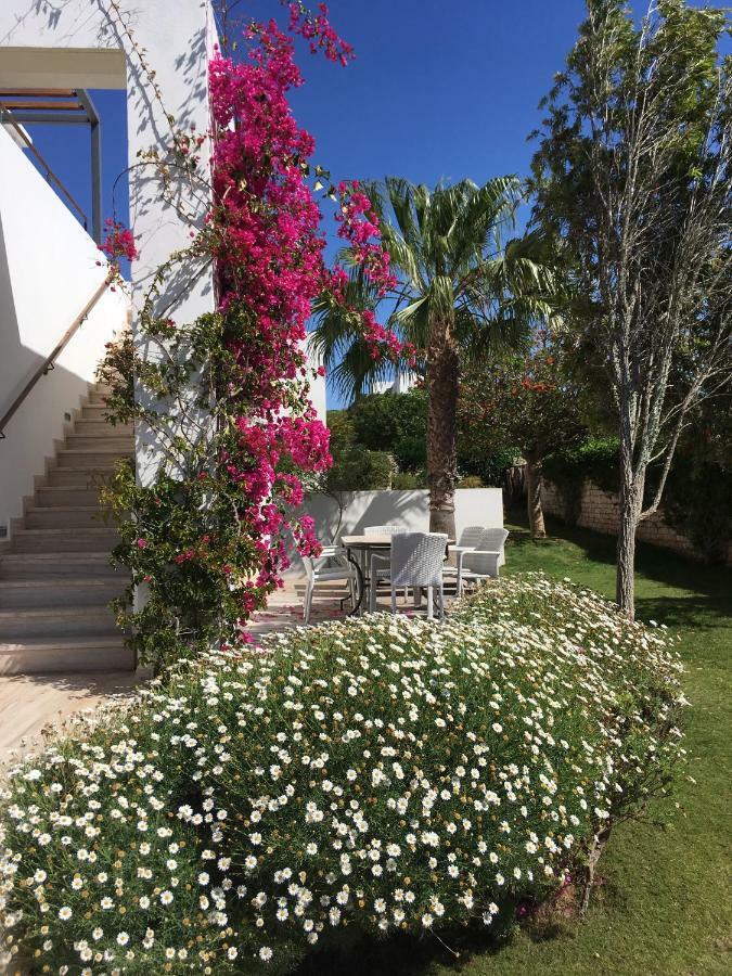 Villa L'Oiseau Bleu Εσαουίρα Εξωτερικό φωτογραφία