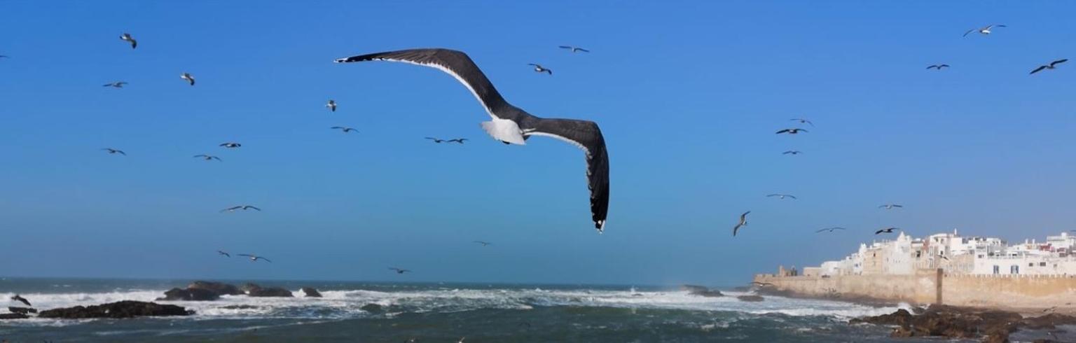 Villa L'Oiseau Bleu Εσαουίρα Εξωτερικό φωτογραφία